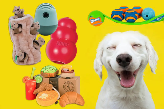 Unleash Happiness: Top 10 Toys Every Dog Will Love