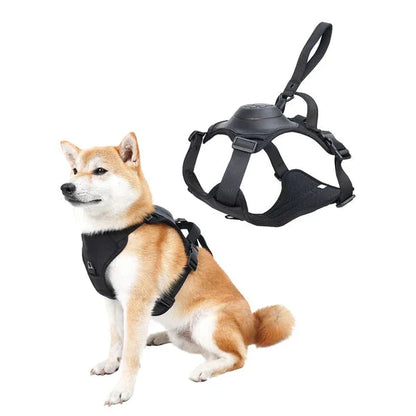 FurBuddy™ Dog Harness and Retractable Leash Set All-in-One