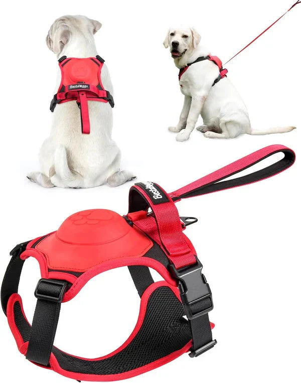 FurBuddy™ Dog Harness and Retractable Leash Set All-in-One