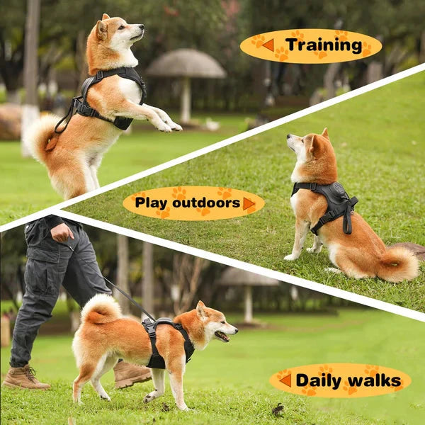 FurBuddy™ Dog Harness and Retractable Leash Set All-in-One